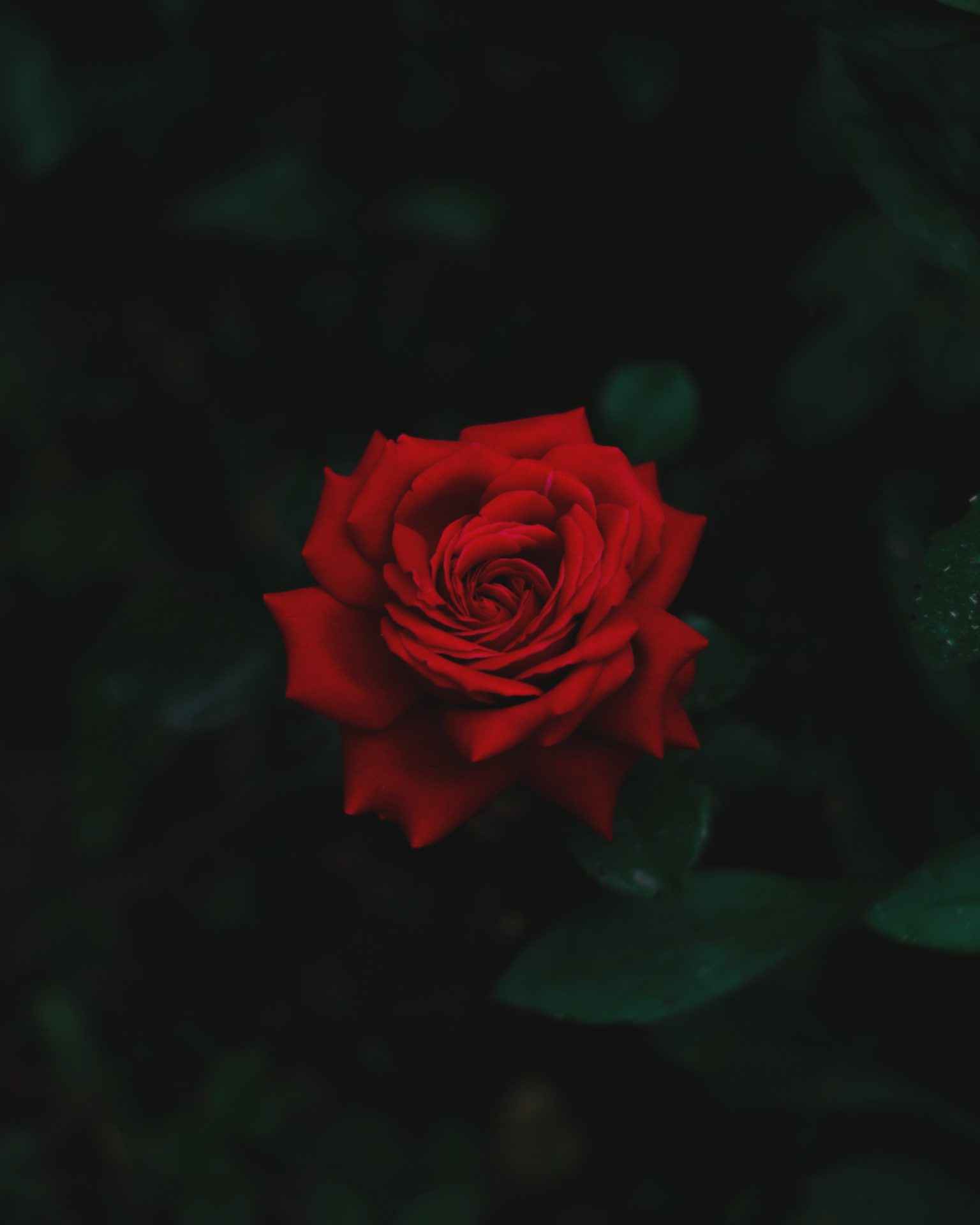 aleksandar-kyng-WWRL3ZGECX8-unsplash.jpg
