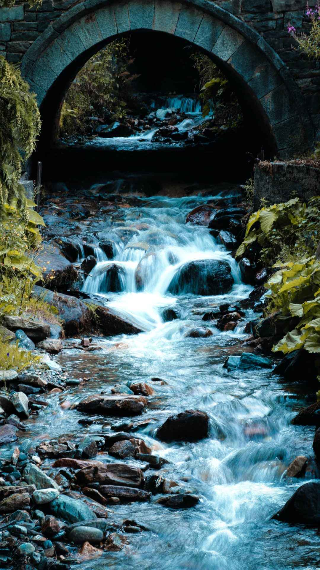chris-hristov-itgKm0zOdzQ-unsplash.jpg