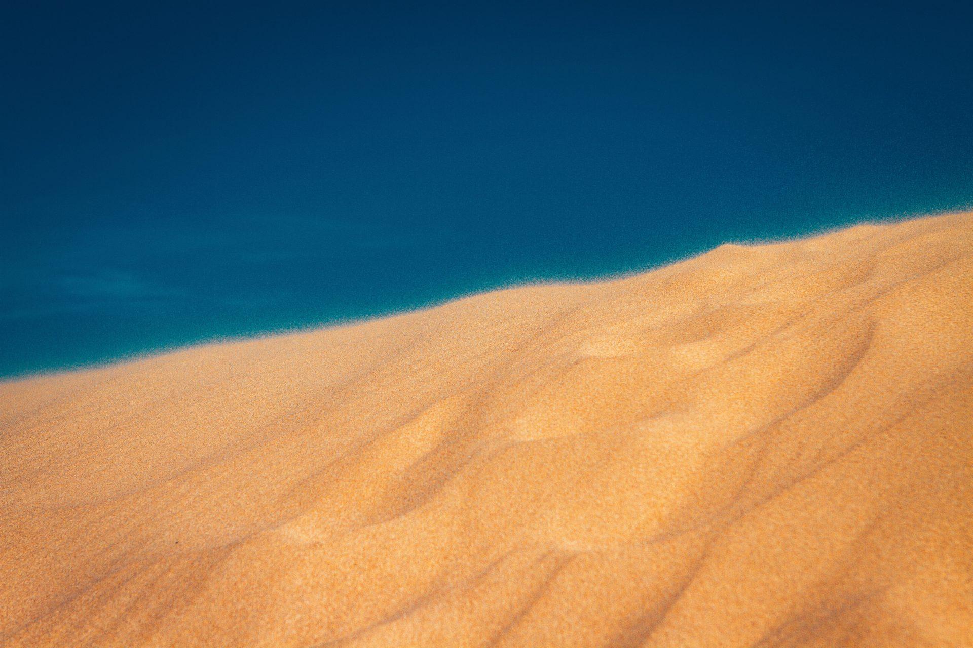 raimond-klavins-gmxGONiOPqY-unsplash.jpg