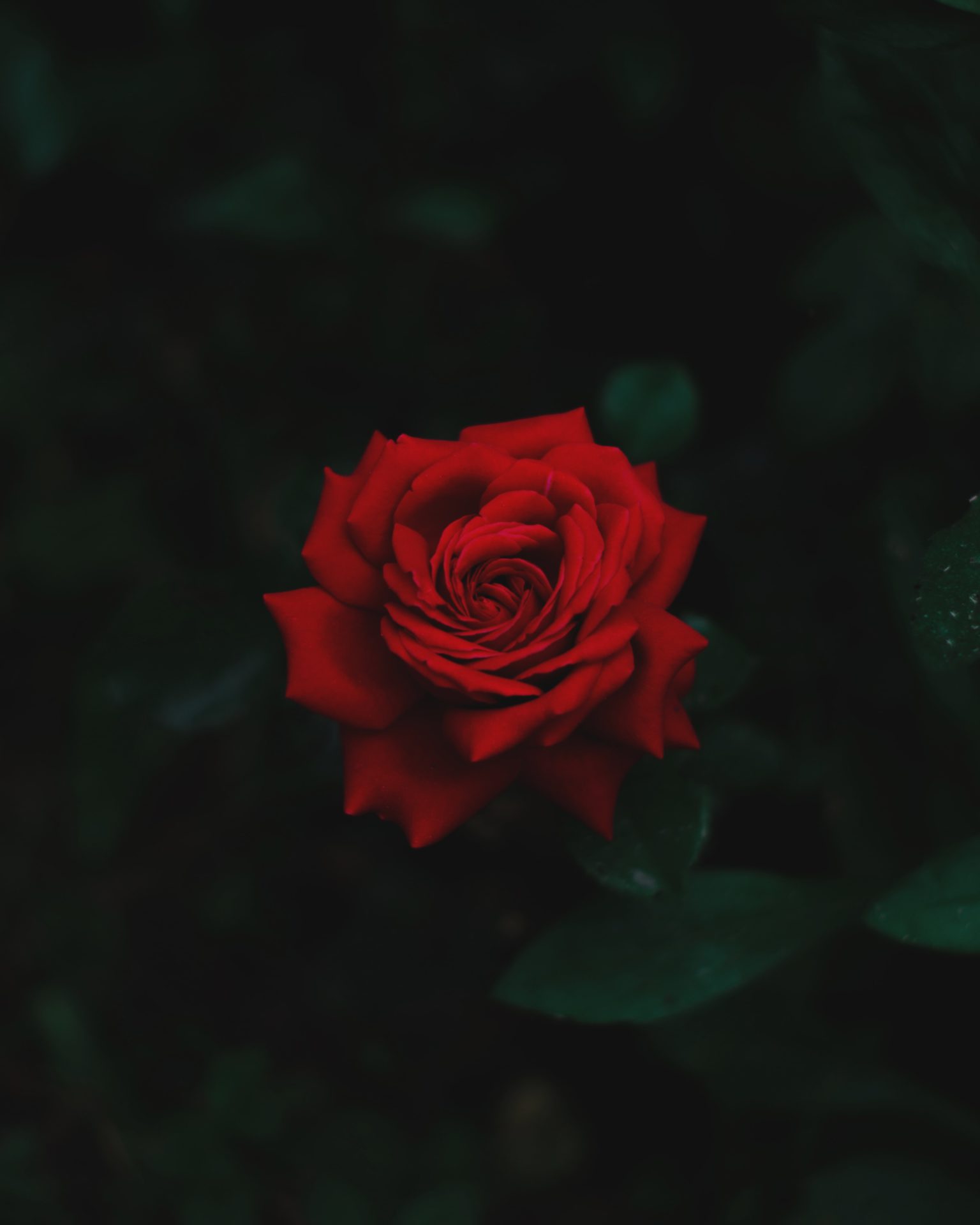 aleksandar-kyng-WWRL3ZGECX8-unsplash.jpg
